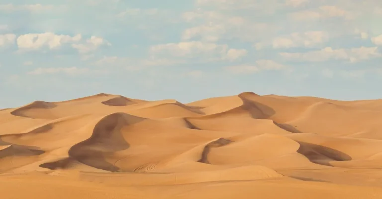 Golden sand dunes in the Dubai desert