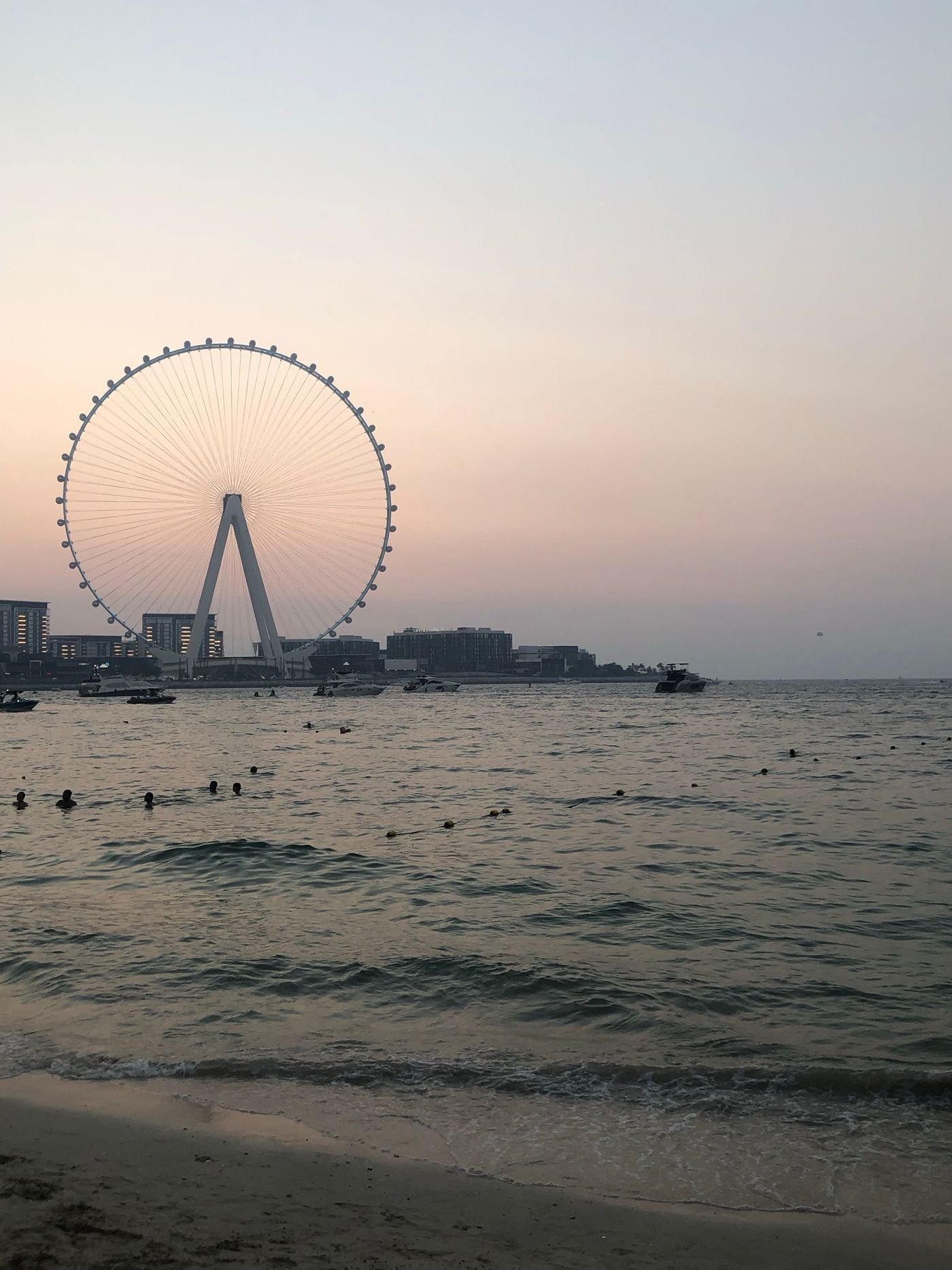 Ain Dubai observation wheel on Bluewaters Island at dusk